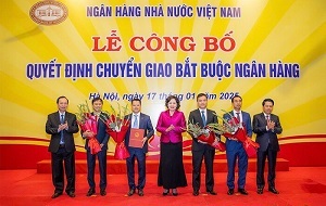 (C)vietnambiz