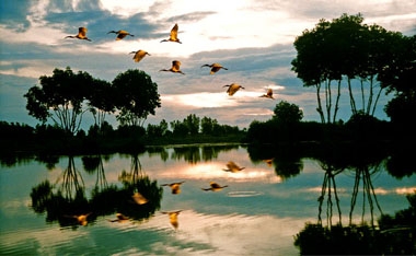 (C)camautravel, カマウ岬国立公園