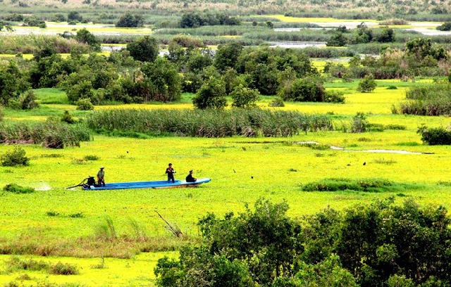 (C) vietnamplus
