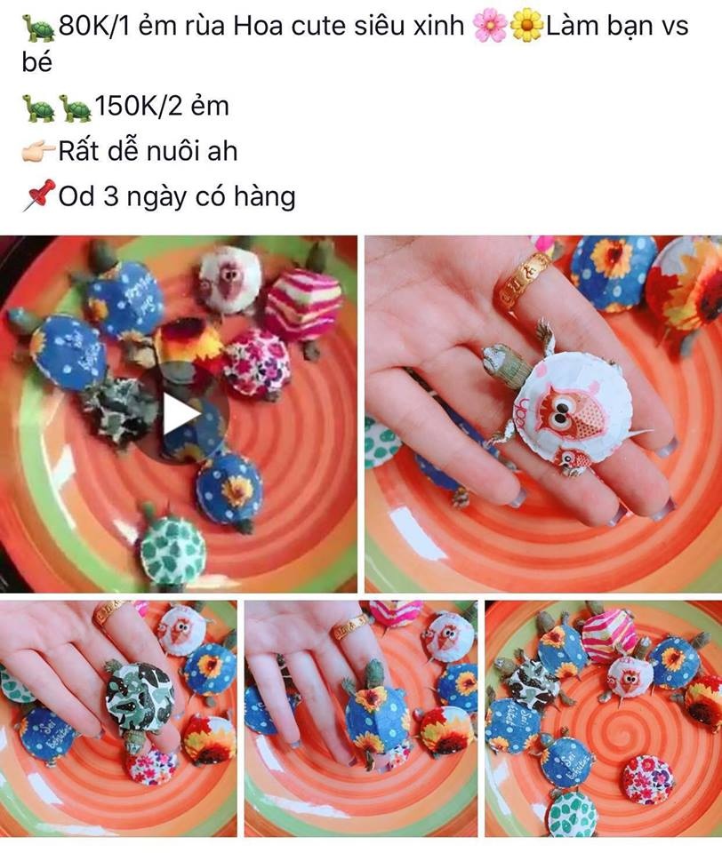 (C)vitenammoi.vn