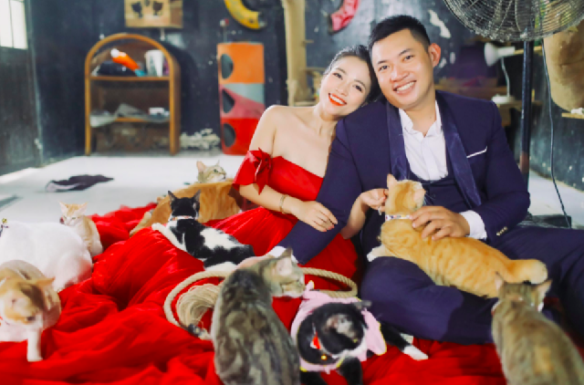 ペット救助隊のカップル 犬猫300匹に囲まれながら結婚 社会 Vietjoベトナムニュース