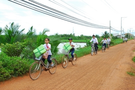 （C） Dantri,　minh họa