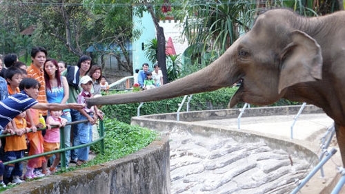 世界最古の動物園10選 サイゴン動植物園を紹介 観光 Vietjoベトナムニュース