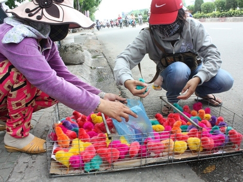 ホーチミンで見掛ける中国産 カラーひよこ 染料に有害物質含有の可能性も 社会 Vietjoベトナムニュース