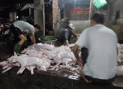 ハノイ 犬肉供給の村 検疫も原産地にも無関心 社会 Vietjoベトナムニュース