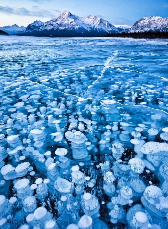 （C）  mymodernmet.com,　アブラハム湖