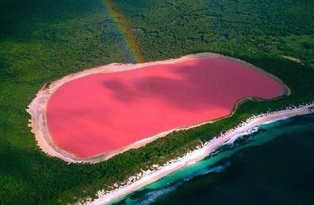 （C）  mymodernmet.com,　ヒリアー湖