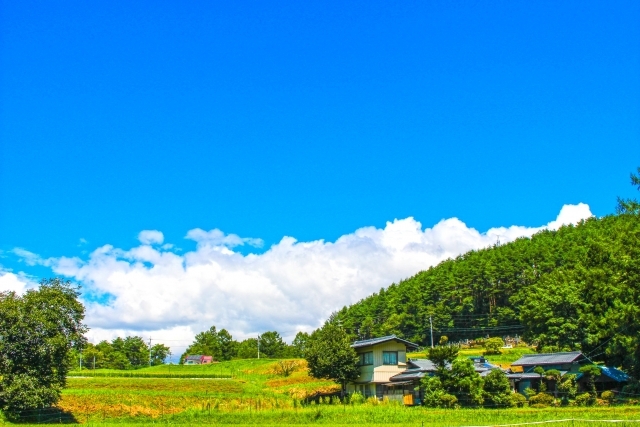 第40回 ベトナムの都市部と田舎の生活の違いについて Vietjo Lifeコラム 統計から見るベトナム コラム Vietjoベトナムニュース