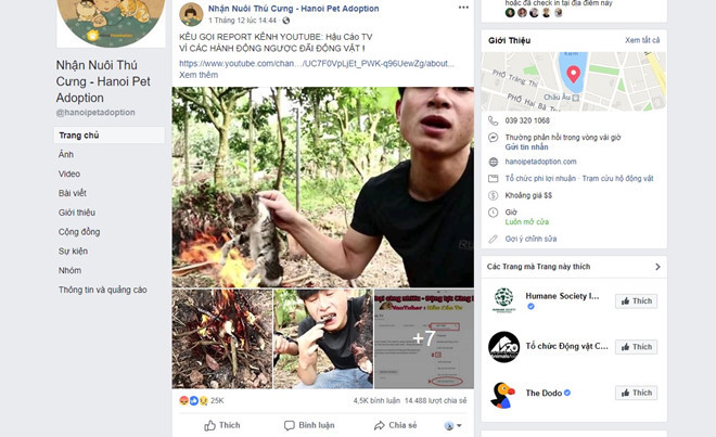 ネコの丸焼き貪るyoutuber ネット民から猛烈批判 社会 Vietjoベトナムニュース