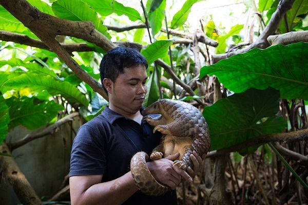 ベトナムの野生動物保護npo代表 ゴールドマン環境賞 受賞 社会 Vietjoベトナムニュース